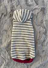 Charger l&#39;image dans la galerie, Hoodie (plus mince) - Rayé charcoal et baies