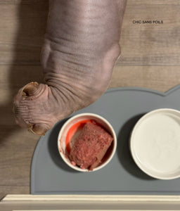 Silicone Mat - Grey Cat