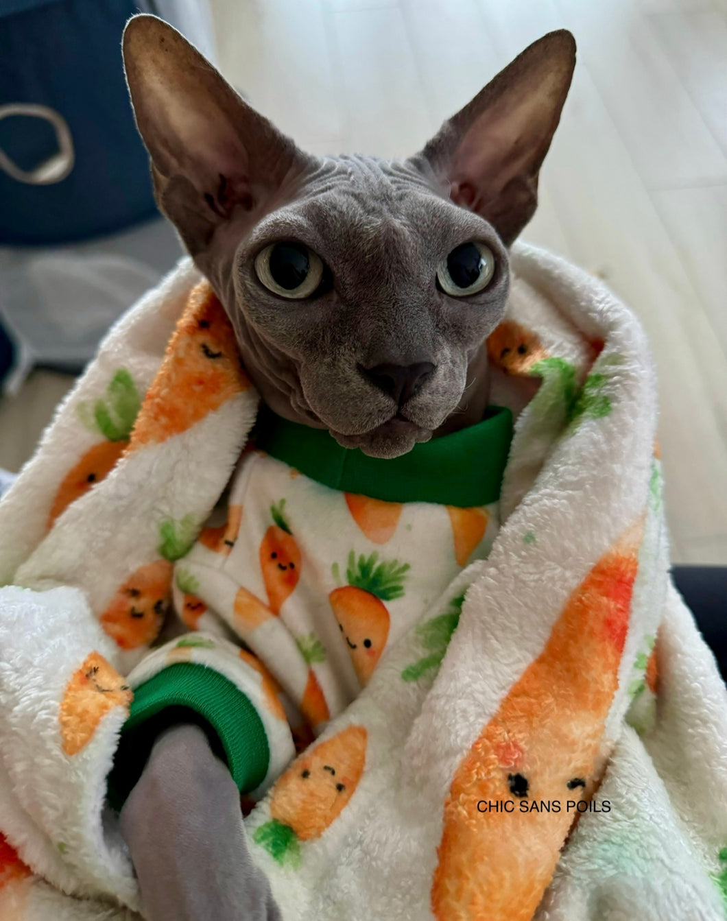 Pyjama SQUISHY - Carottes 🥕