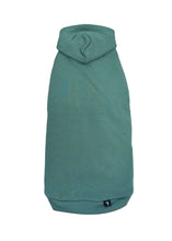 Load image into Gallery viewer, DREAM Bamboo Hoodie - Pistachio
