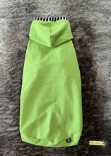 Charger l&#39;image dans la galerie, Chandail long à capuche Henley - Vert &amp; rayé