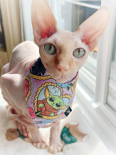Standard Cat Scarf - SW Purple 💜
