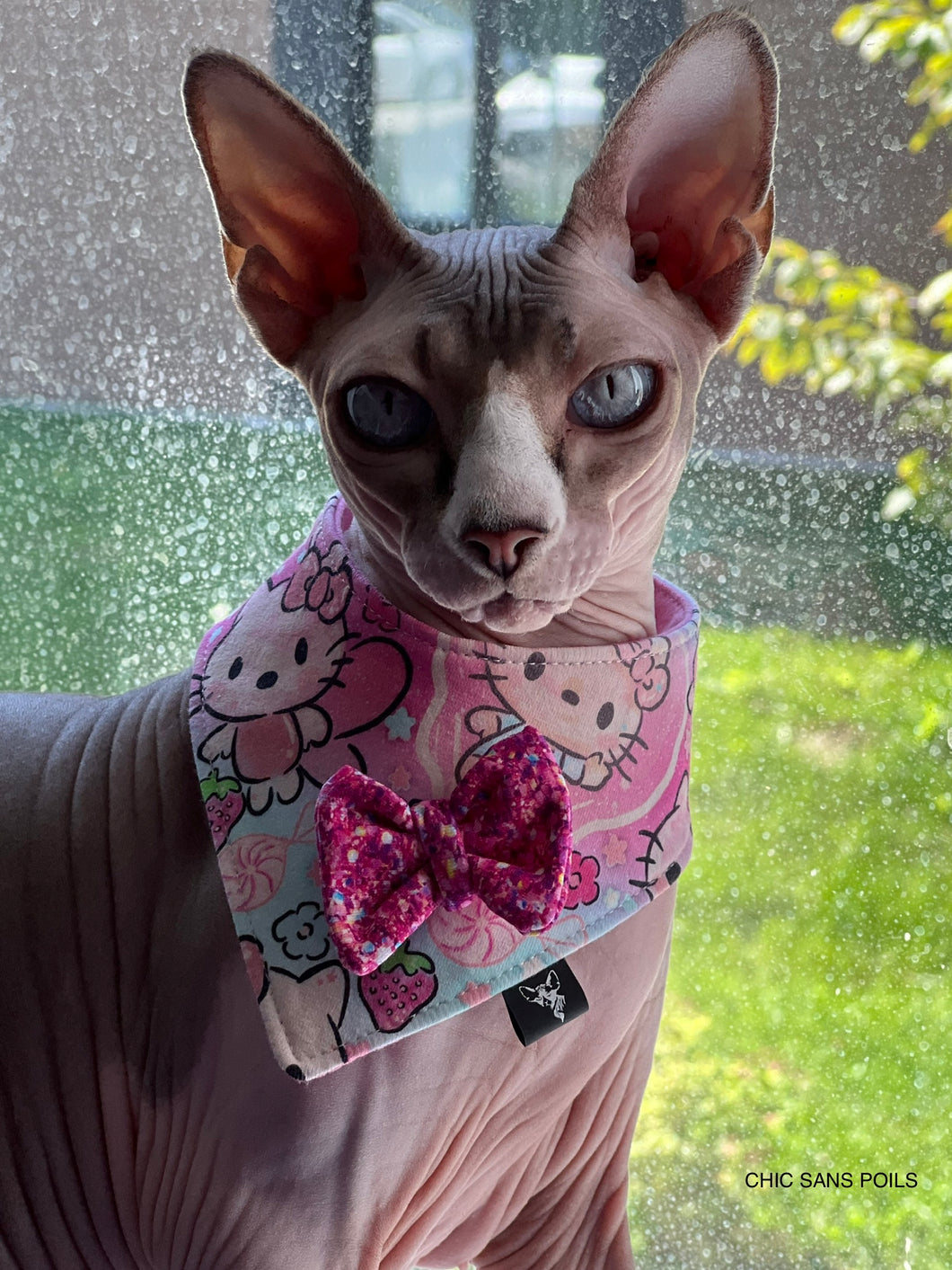 Standard Cat Scarf - Lollipop Kitty