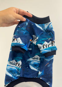 Pyjama SQUISHY - Vie antarctique