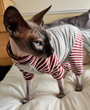 Load image into Gallery viewer, One piece - Heather gray &amp; burgundy stripes