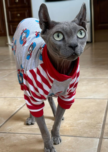 One piece - Cat in striped hat