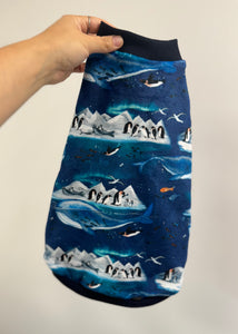 Pyjama SQUISHY - Vie antarctique