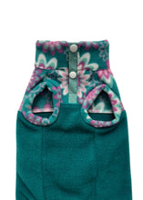 Load image into Gallery viewer, Kiwi - Montana teal