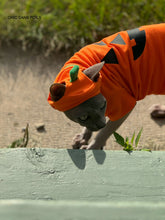 Load image into Gallery viewer, Sweater - Pumpkin Cutie