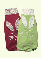 Load image into Gallery viewer, Turtleneck - Green dodo rabbit