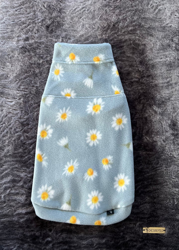 Kiwi - Daisies