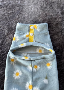 Kiwi - Daisies