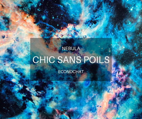 ECONOCHAT - Nebula