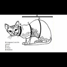 Load image into Gallery viewer, Summer dress - Lollipop Kitty
