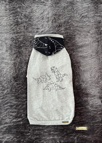 Basic Hooded - Geometric Dinos