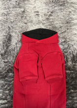 Load image into Gallery viewer, Organic Cotton Hoodie - Chili Red