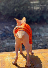 Load image into Gallery viewer, UV Protection SPF 50+ - Shiny Orange Little Crabby 🦀