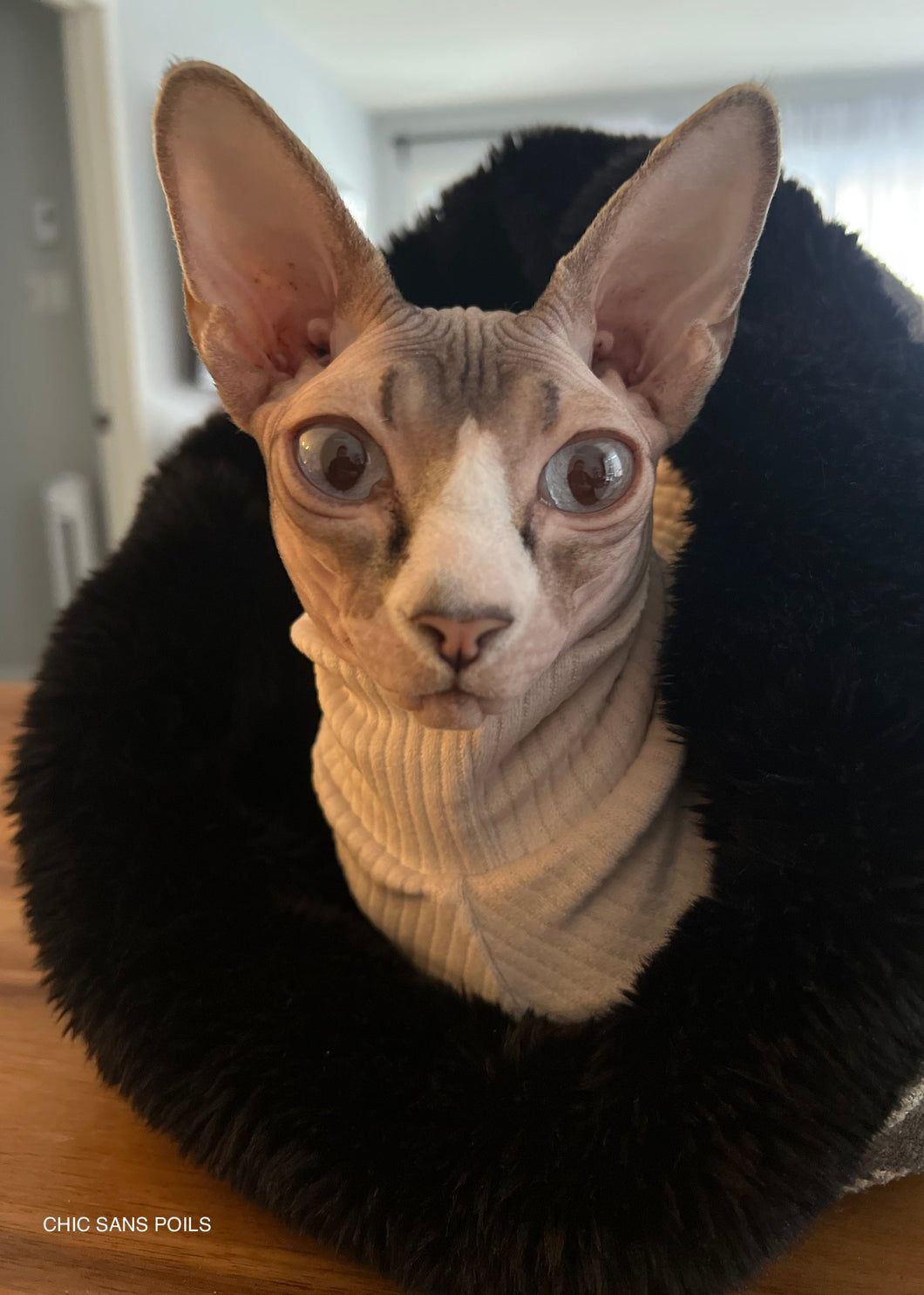 Turtleneck - Soft ribbed pale pink