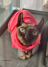 Charger l&#39;image dans la galerie, Hoodie manches longues  - NÉON Rose