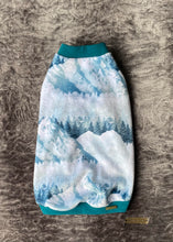 Load image into Gallery viewer, Pajamas - Arctic